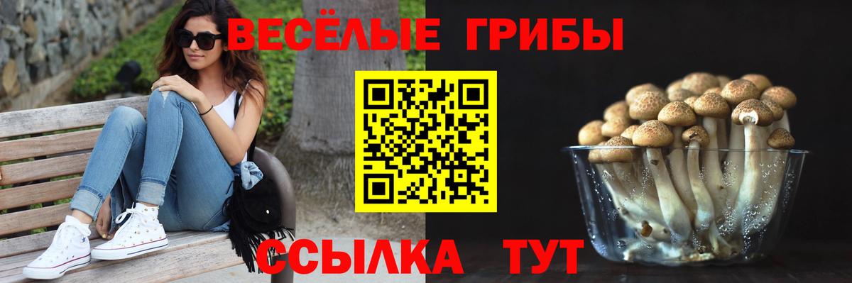 Галлюциногенные грибы прущие грибы Печора